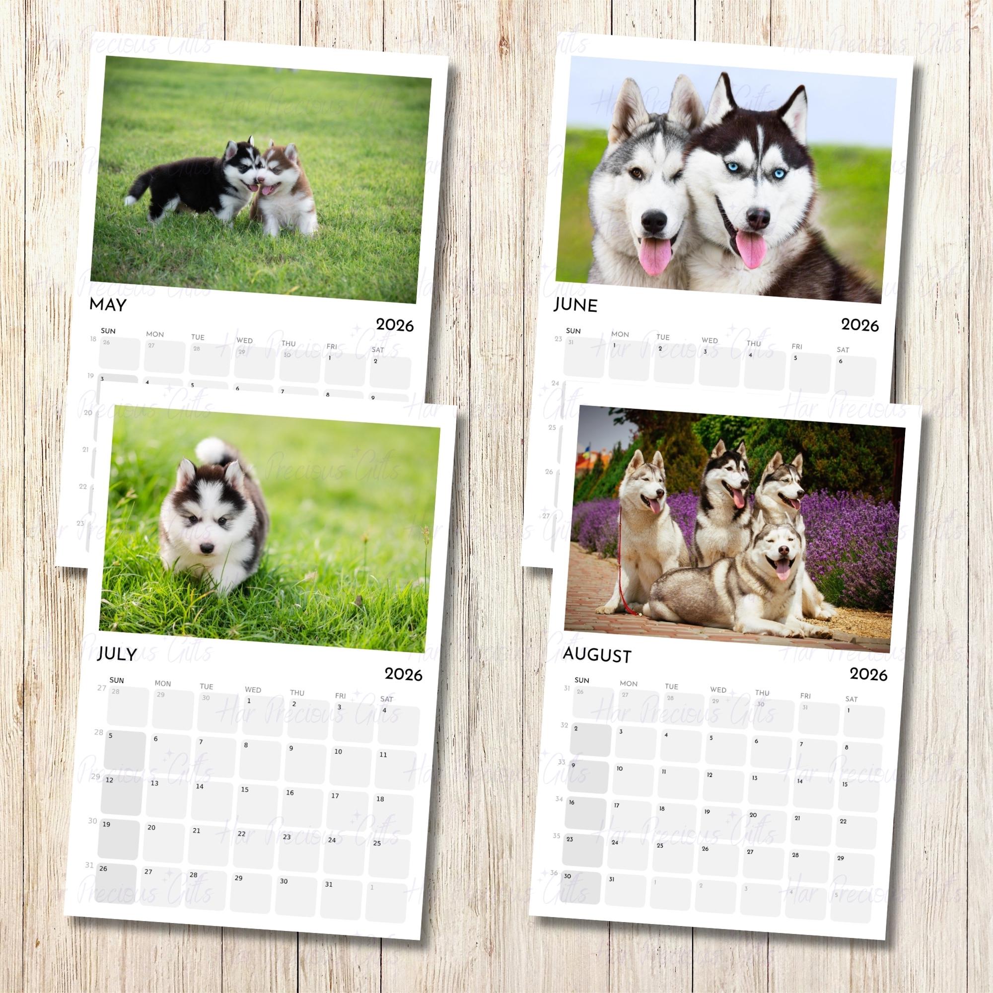 Calendario De Husky Siberiano 2024 | Calendario De Pared Cuadrado | 16 Meses | Baker And