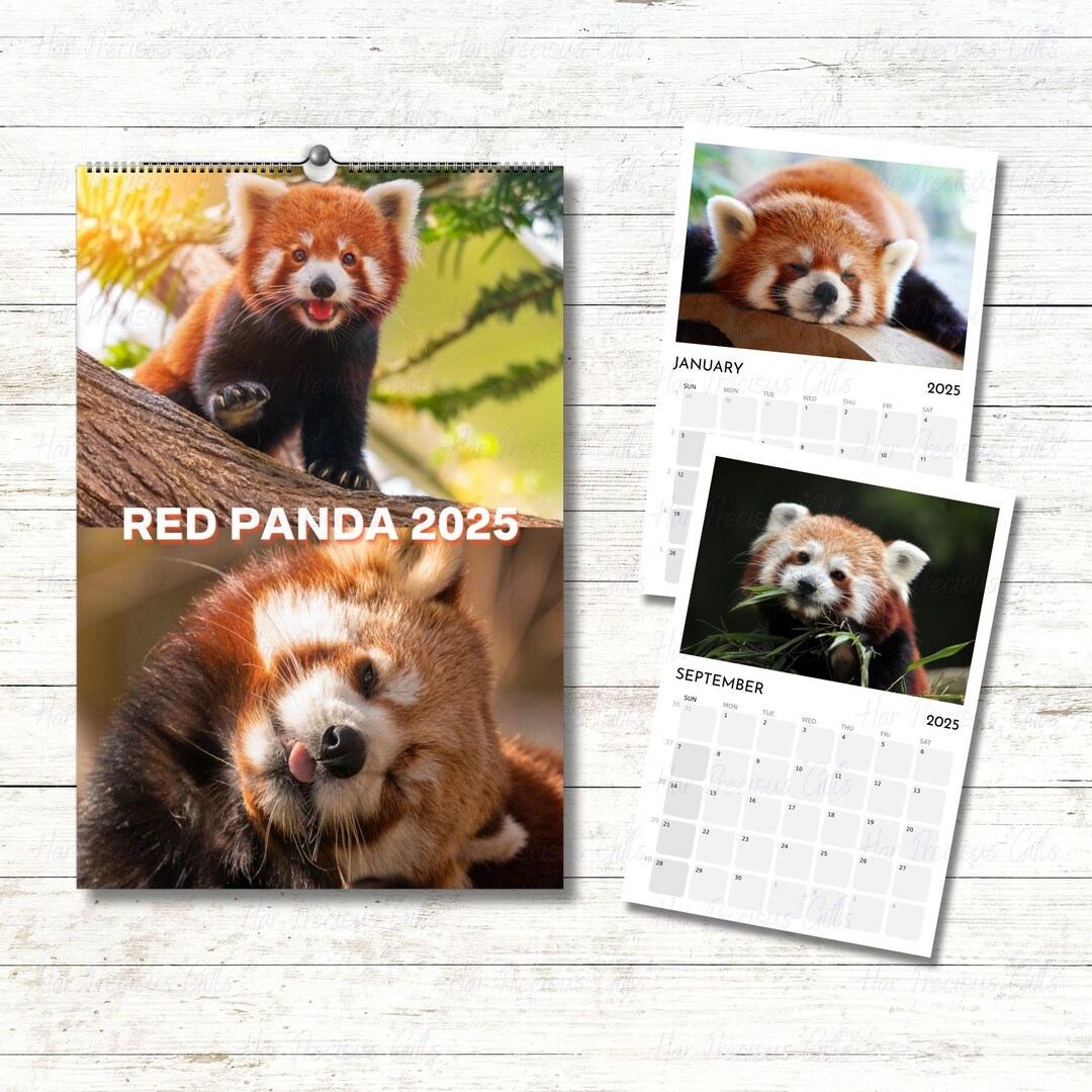Red Panda 2025 Calendar, 13 Premium Red Panda Photos, Wall Calendar ...