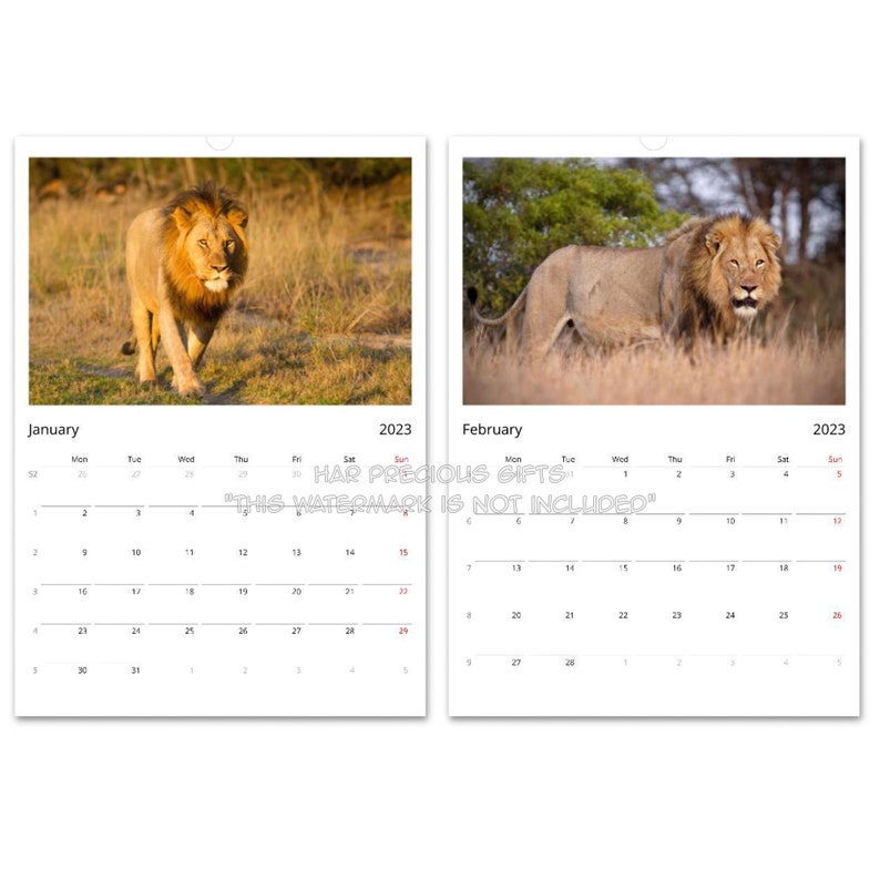 Lion King 2025 Calendar Google Chrome Leonard Skinner