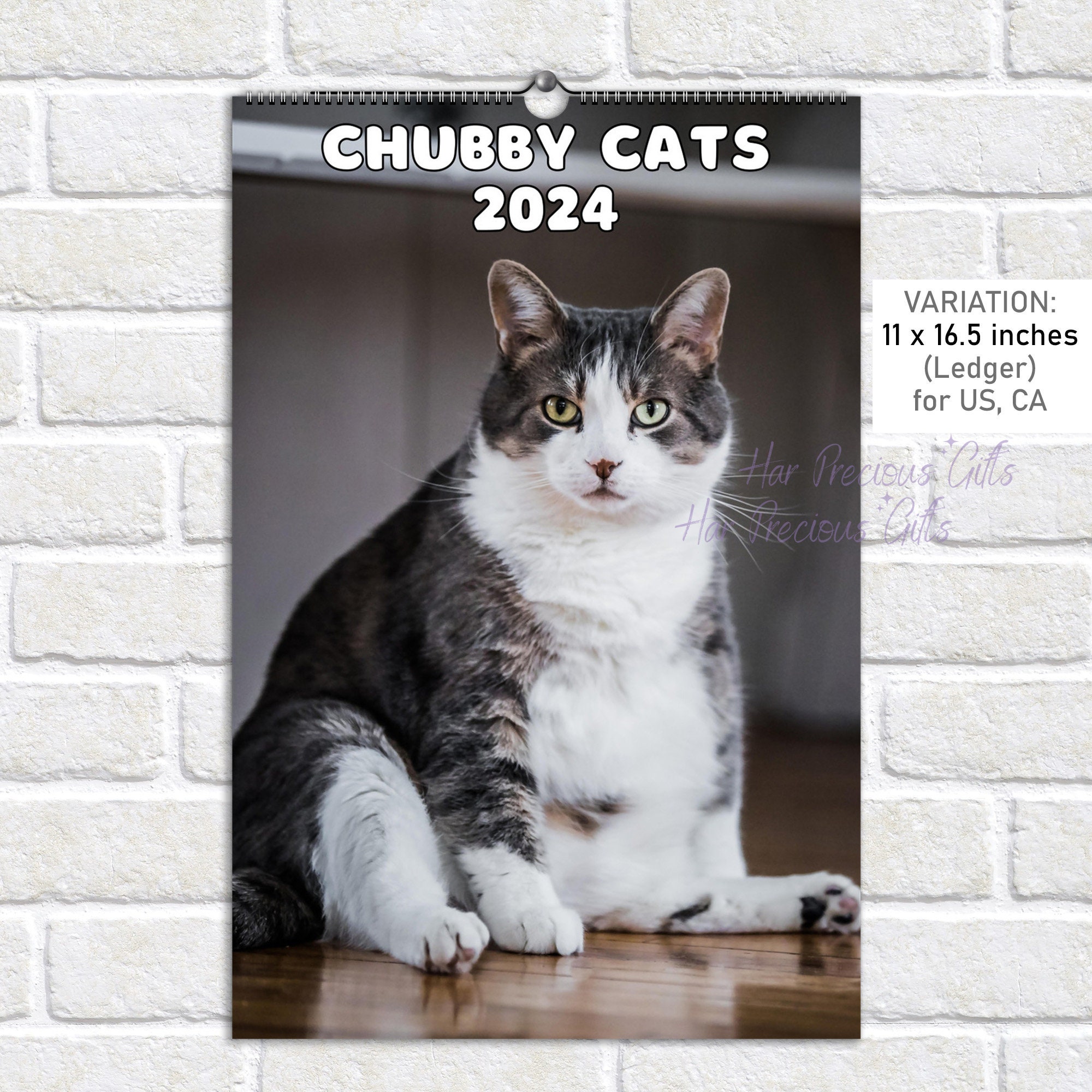 Calendrier mural 2024 avec chats laids et chats amusants à