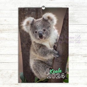 Koala Calendar 2024, Premium Koala Photos Each Month, Wall Calendar, Living Room, Starts at Monday or Sunday, Animal Calendar 2024