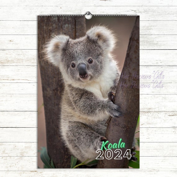 Koala Calendar 2024, Premium Koala Photos Each Month, Wall Calendar, Living  Room, Starts at Monday or Sunday, Animal Calendar 2024 - Etsy