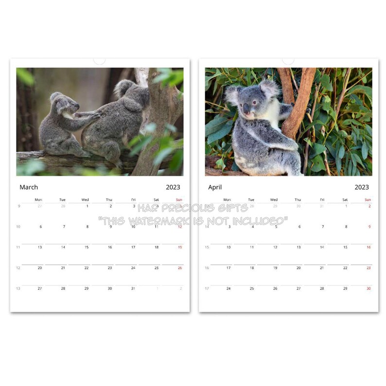 Koala Calendar 2024 Premium Koala Photos Each Month Wall Etsy Australia