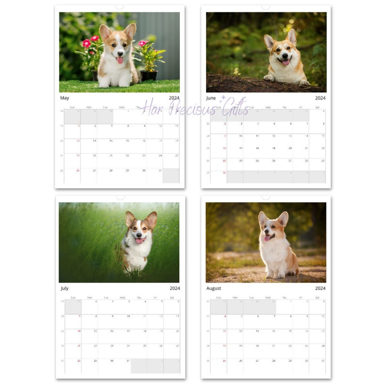 Calendar 2024, 12 Premium Photos Inside, Wall Calendar