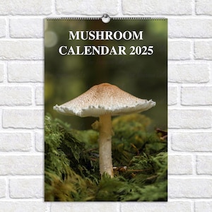 Calendar 2026 Mushroom, Monthly Planner, Hanging Wall Calendar 2026, Ready-to-hook Calendar