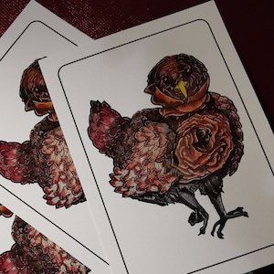 1 Carte Postale les Créatures fantastiques, thème "la Poule Renoncule"