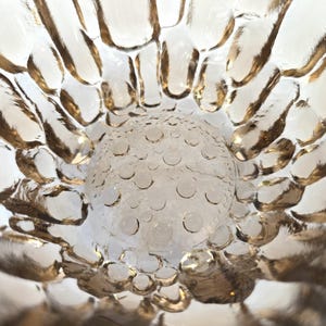 May include: A clear glass bowl with a textured, bubbled surface. The bowl has a unique, organic design with a raised center.