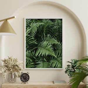 Green Fern Print, Fern Prints, Nature Prints Wall Art, Green Prints Wall Art