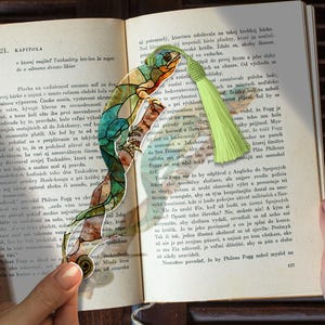 May include: A colourful, stained-glass style bookmark featuring a lizard on a branch, with a green tassel. The bookmark is in an open book, adding a touch of whimsy to reading.