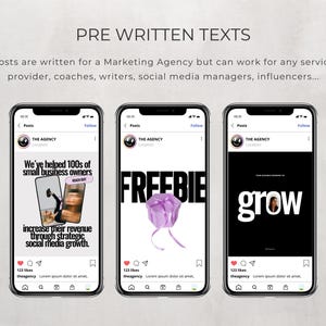 May include: Three Instagram post mockups with black backgrounds and white text. The first post says "We've helped 100s of small business owners increase their revenue through strategic social media growth." The second post says "FREEBIE" with a purple gift box. The third post says "grow" with a woman's face in the "o".