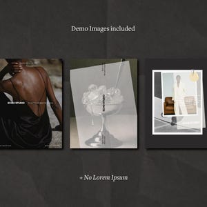 Puede incluir: Un fondo oscuro y texturizado con tres im&aacute;genes enmarcadas. Las im&aacute;genes muestran a una persona con un vestido negro, una copa de c&oacute;ctel con hielo y una persona con un traje blanco. El texto incluye "Demo Images included" y "Echo Studio."