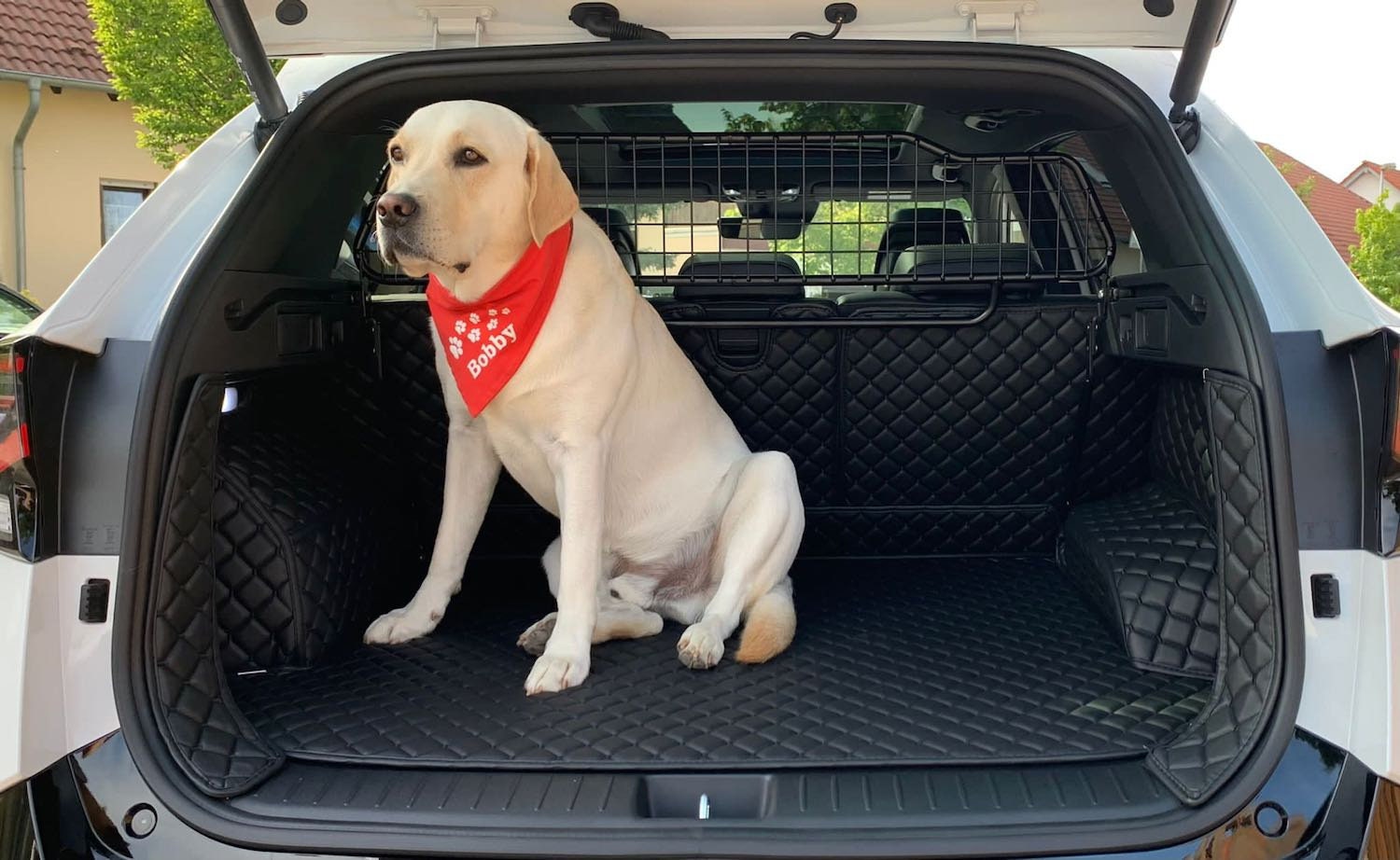 Geeignet Für Audi Q2 GA 2016-heute CARSTYLER® Kofferraumschutz Hundematte  Kofferraumwanne Leder Schwarz Faden Schwarz -  Österreich