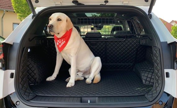 Jaguar e hotsell pace dog guard