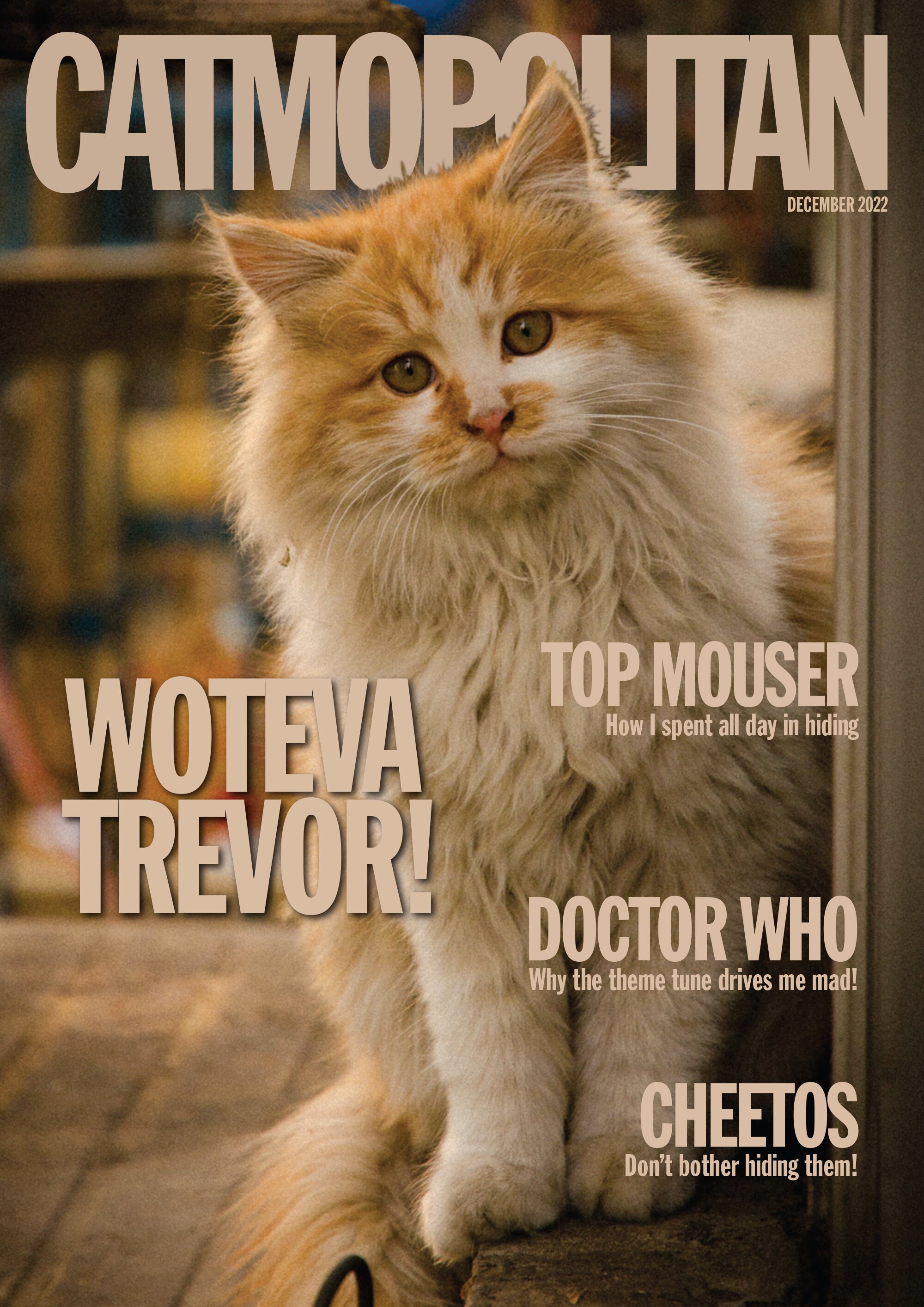 Personalised Pet Magazine Cover Put Your Pet in the Headlines Etsy