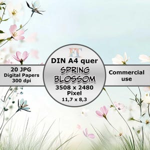 Digitales Papier Frühling A4 Quer | Druckbares Designs mit Pastell Blüten & Textfreiraum für Karten, Hintergründe | Kommerzielle Nutzung