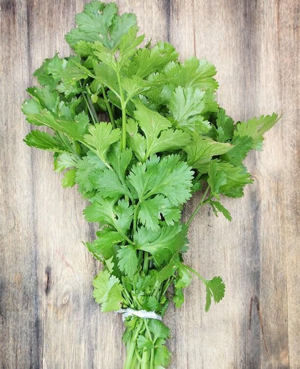 New Cilantro Seeds, Coriander Leaves, Hạt Giống Rau Mùi, Ngò Rí, 香菜, 고수