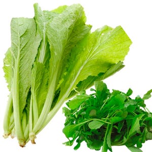 Green Mustard/Baby Green Mustard Seeds, Hạt Giống Cải Bẹ Xanh Mỡ/ Cải Bẹ Xanh Baby Mỡ (600+ PCs) - High Germination Rate 98%