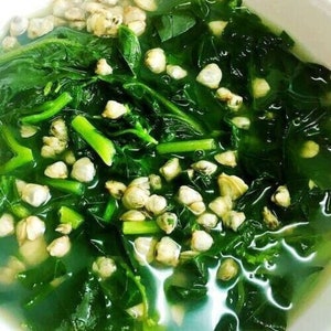 Green Malabar Spinach Seeds - 50+ Organic Seeds, Mong Toi Mu Er Cai Ceylon Spinach Basella Rubra Usa