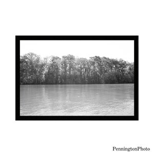 Fotografía de bellas artes Descarga instantánea digital, imagen en blanco y negro, arte de pared imprimible, decoración, paisaje, naturaleza, árboles, agua