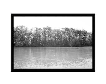 Photographie d'art, téléchargement numérique instantané, image en noir et blanc, art mural imprimable, décoration, paysage, nature, arbres, eau