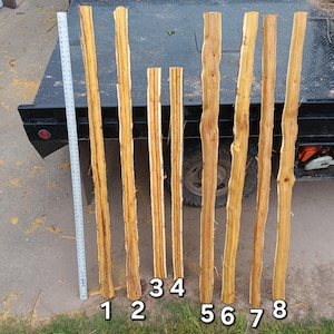 Osage Bow Staves