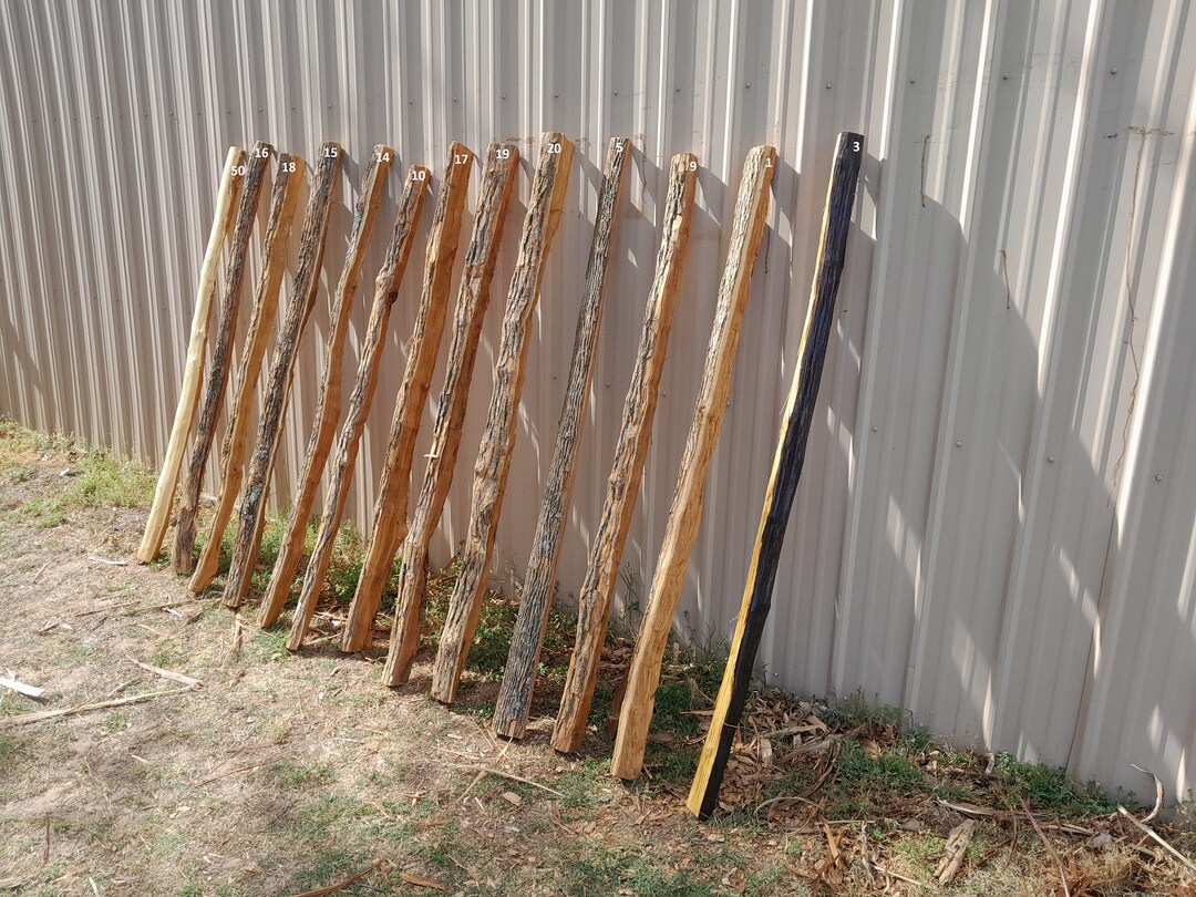 Osage Orange Bow Staves Etsy