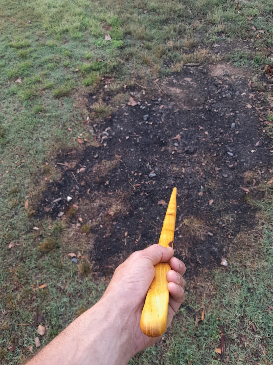 The World's Smallest Walking Stick Etsy