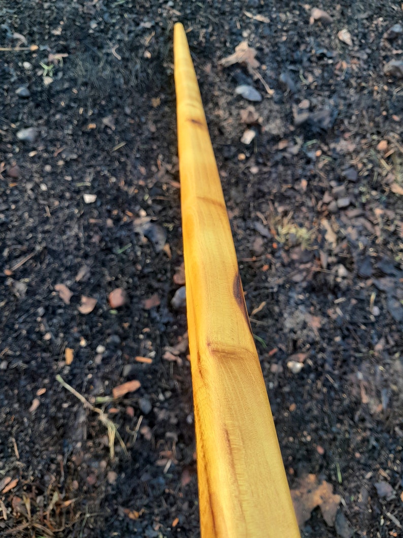 The World's Smallest Walking Stick Etsy