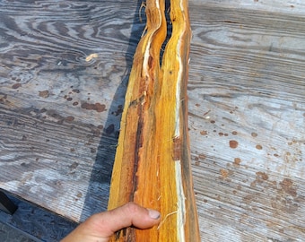 Two (2) 66 1/2&quot; Osage Staves For Making Walking Sticks