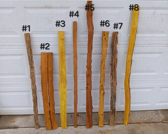 Short Osage bow staves and billets