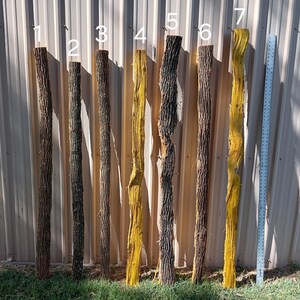 Osage Bow Staves