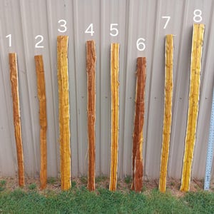 Short Osage Bow Staves
