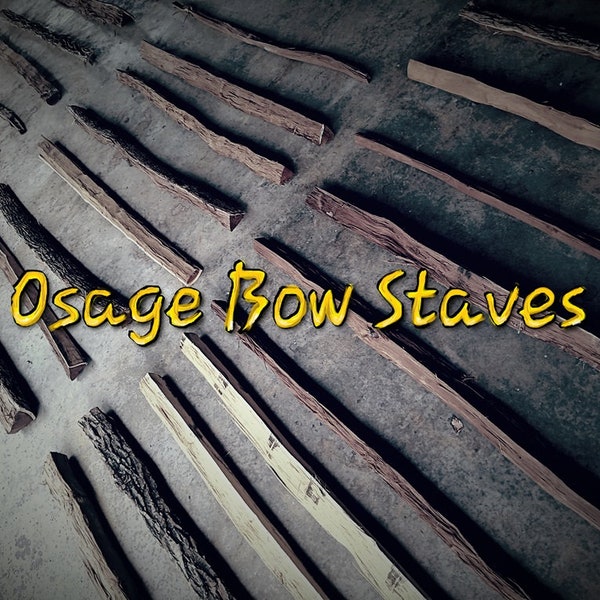 Osage Bow Staves