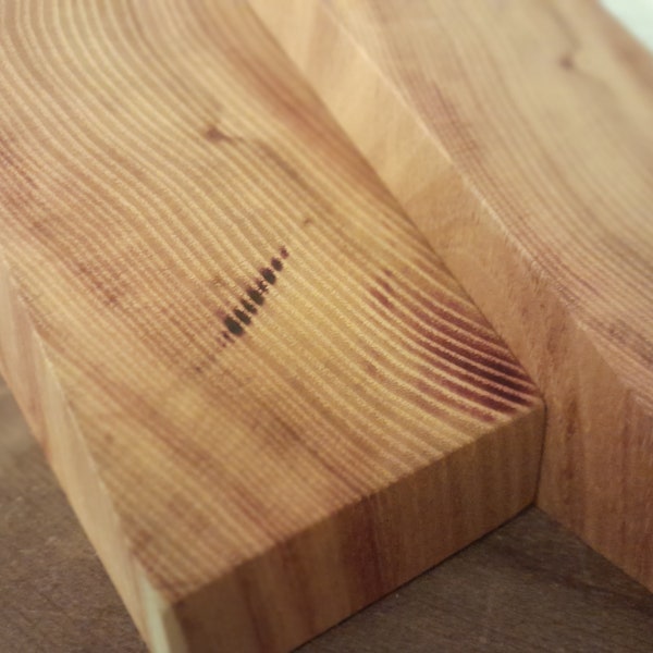 Two (2) Osage orange bookends