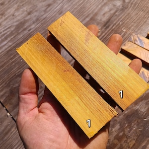 Osage Knife Scales