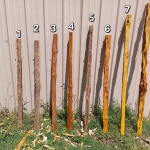Osage Bow Staves