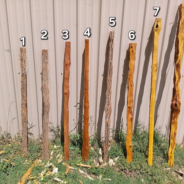 Osage Bow Staves