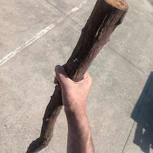 Blanc de canne Osage, orange, 60 po.