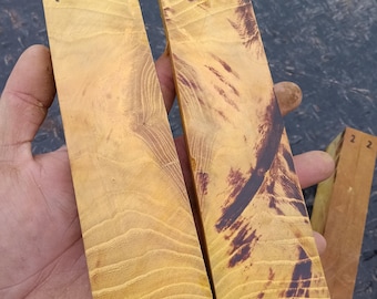 Gnarly Large Osage Knife Scales