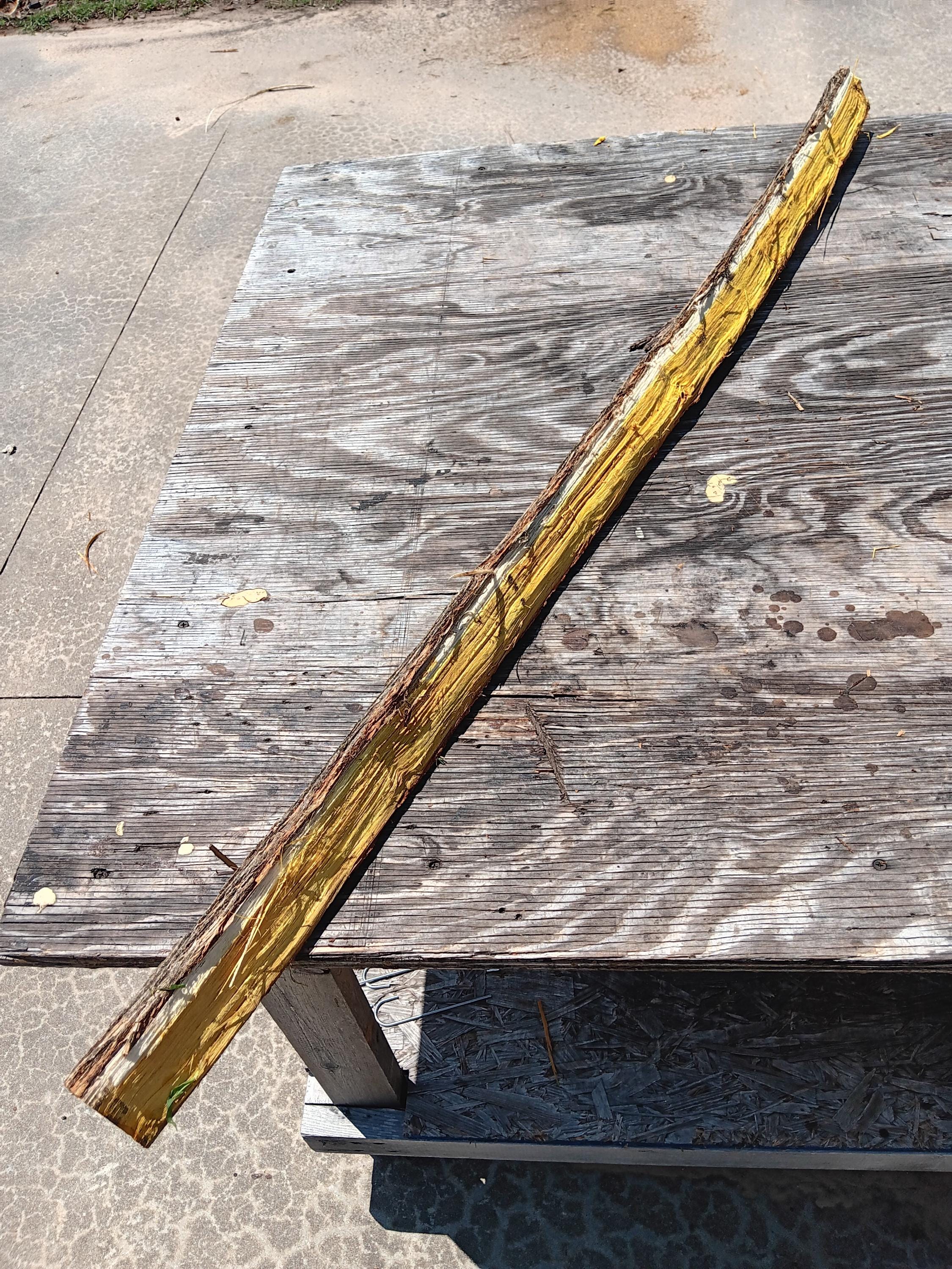 57" Osage Bow Stave