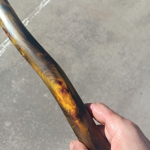 May include: A wooden walking stick with a natural, polished finish. The wood grain features a mix of dark brown, amber, and golden hues. The stick is held in a hand, showcasing its smooth texture and unique color variations.