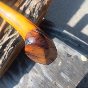 Puede incluir: Primer plano de un mango de bastón de madera con un eje curvo de color ámbar. El extremo del mango es de madera oscura y pulida, mostrando la veta. El bastón descansa sobre una superficie de madera envejecida.