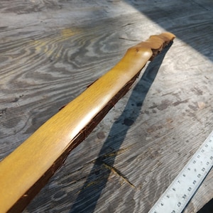May include: A handcrafted wooden bow stave, featuring a natural, unfinished look. The stave is a light brown color with a darker, textured edge. A ruler is visible in the image, providing scale.