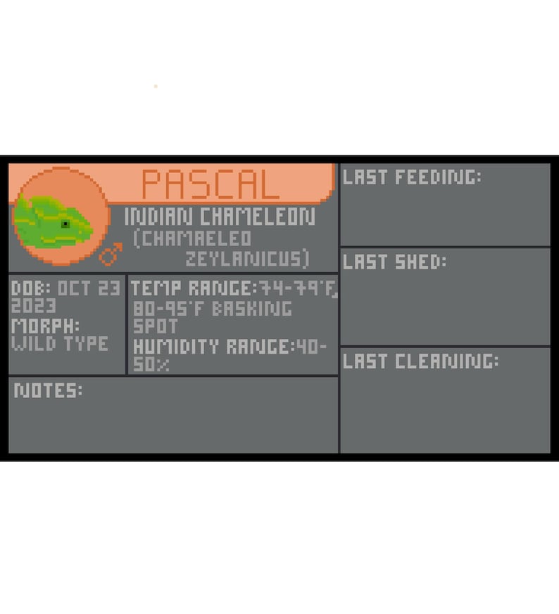 Lizard Enclosure Label & Care Tracker (digital/printable Version ...
