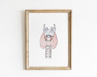 Thyroid Gland Anatomy Art: Medical Print (Digital Download)