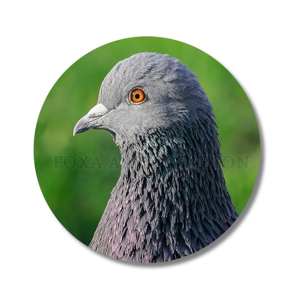 Badge pin Pigeon Portrait, épingle, 58mm, porte-clé décapsuleur, insigne broche en métal, bouton, rond, magnet