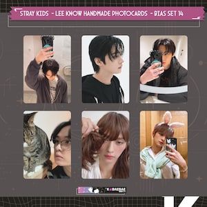 Stray Kids - Lee Know handgemaakte fotokaarten - biasset 14