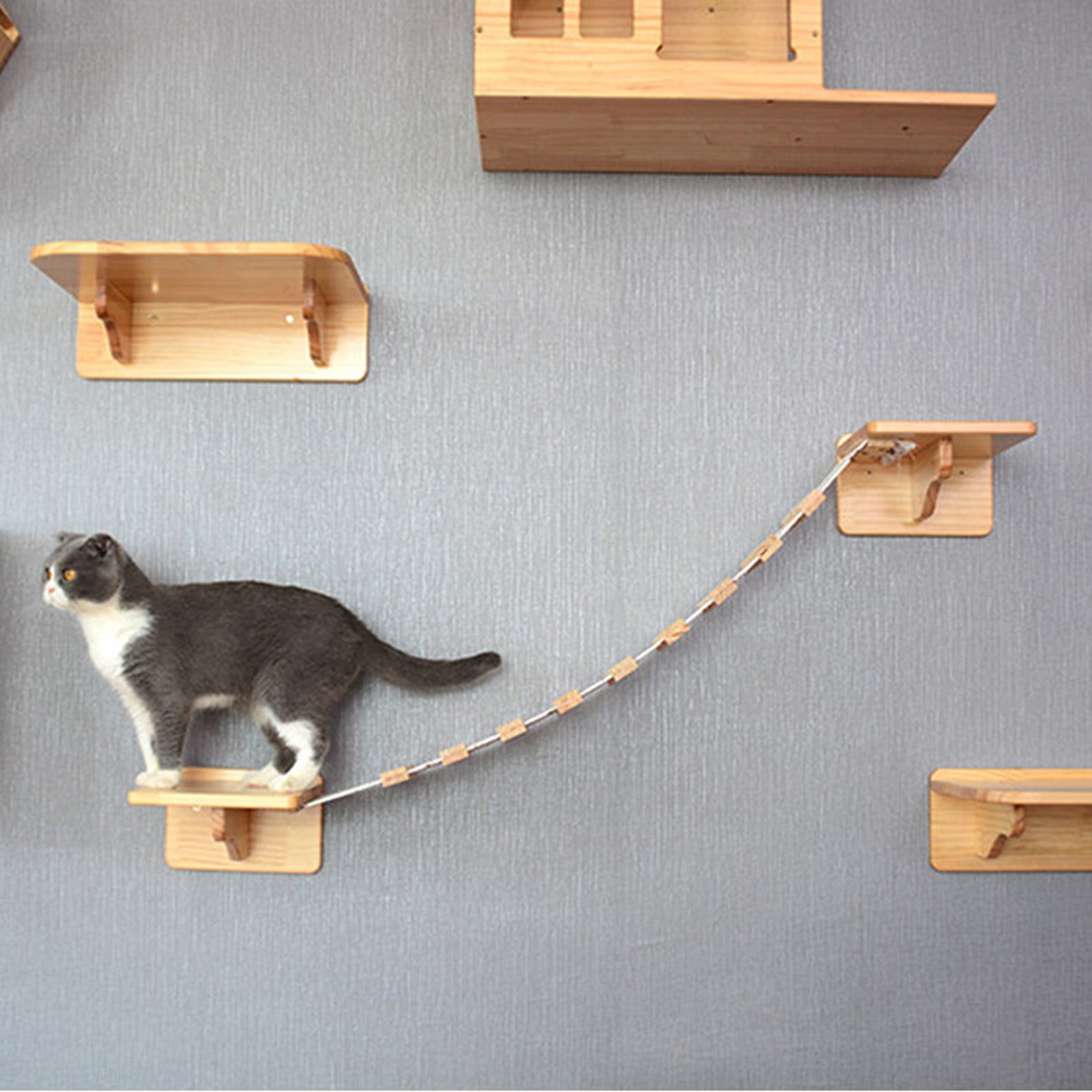 Modern Cat Wall Furniture Cat Wall Furniture Cat Climbing Etsy Canada