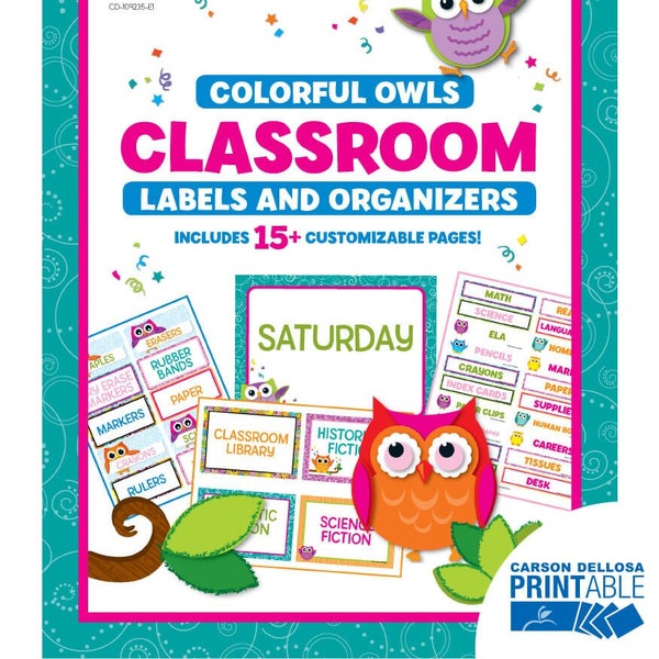 Colorful Owls Classroom Labels and Organizers