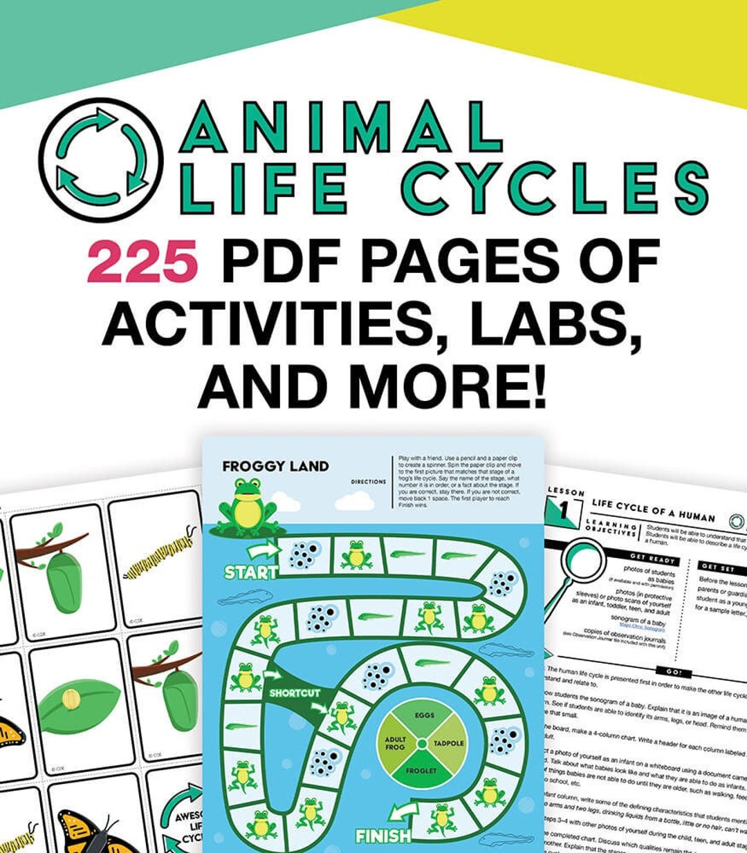 Animal Life Cycle Printable, Science & STEM Activity Worksheet Bundle